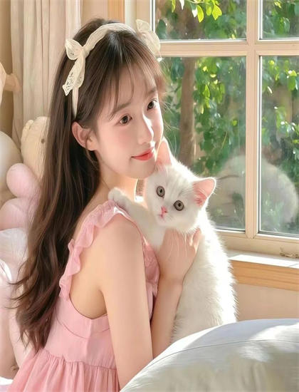 豪猪养殖视频-播放器大全